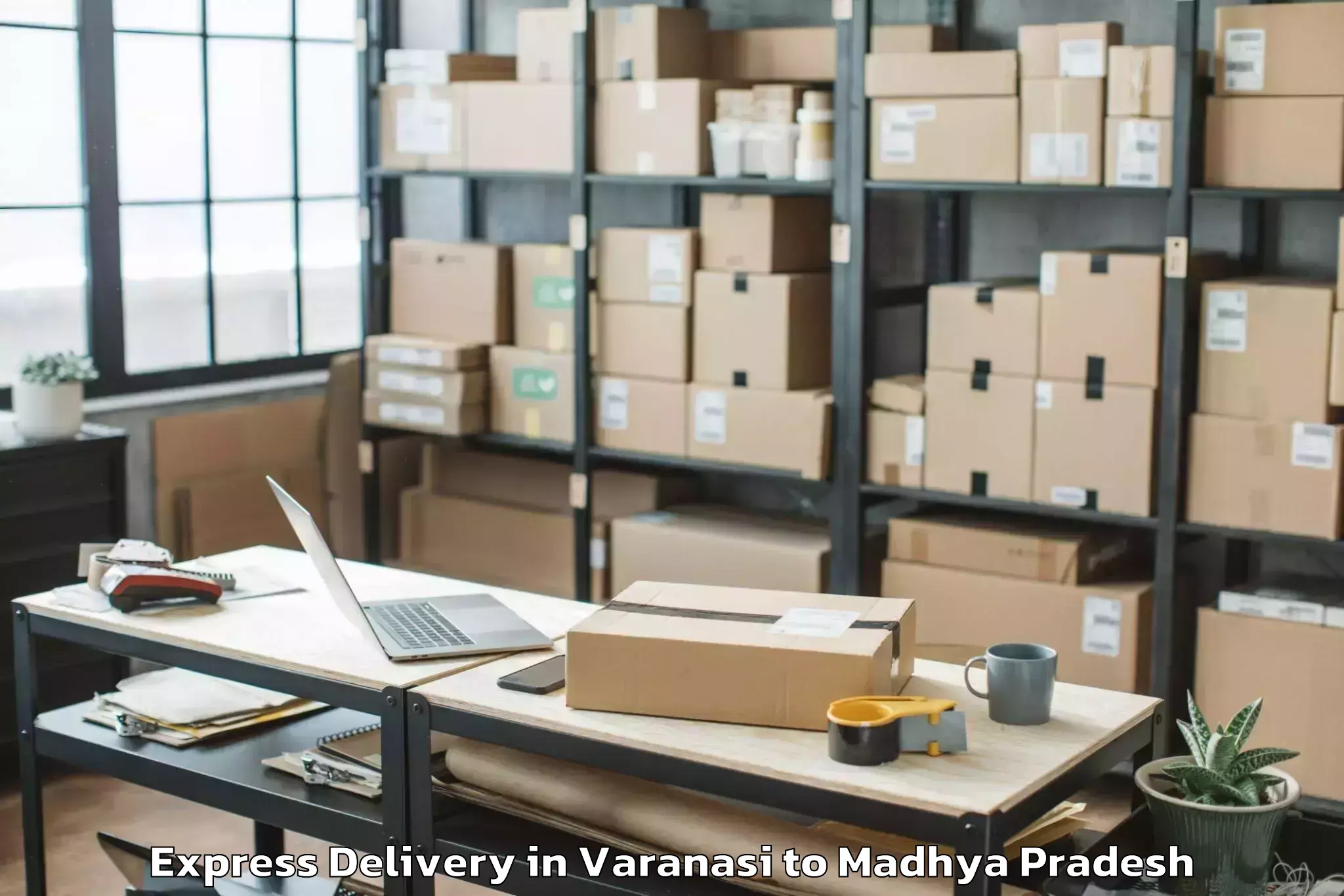 Professional Varanasi to Guna Express Delivery